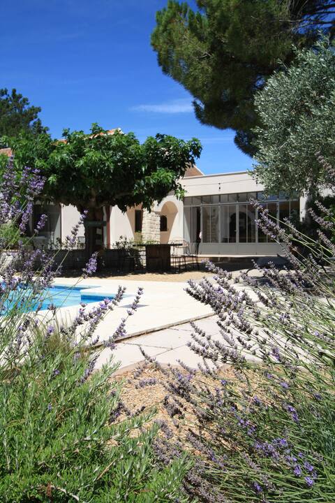 Under the Monteux mulberry tree between Avignon and Mt Ventoux