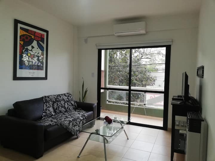 Living, table basse en verre, chauffage au gaz ,  Split, télévision directv. Wifi, canapé.