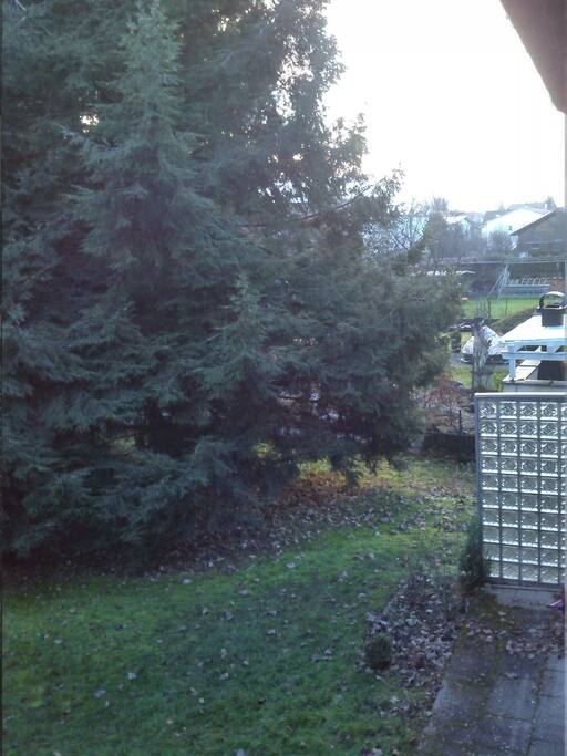 Blick nach Westen