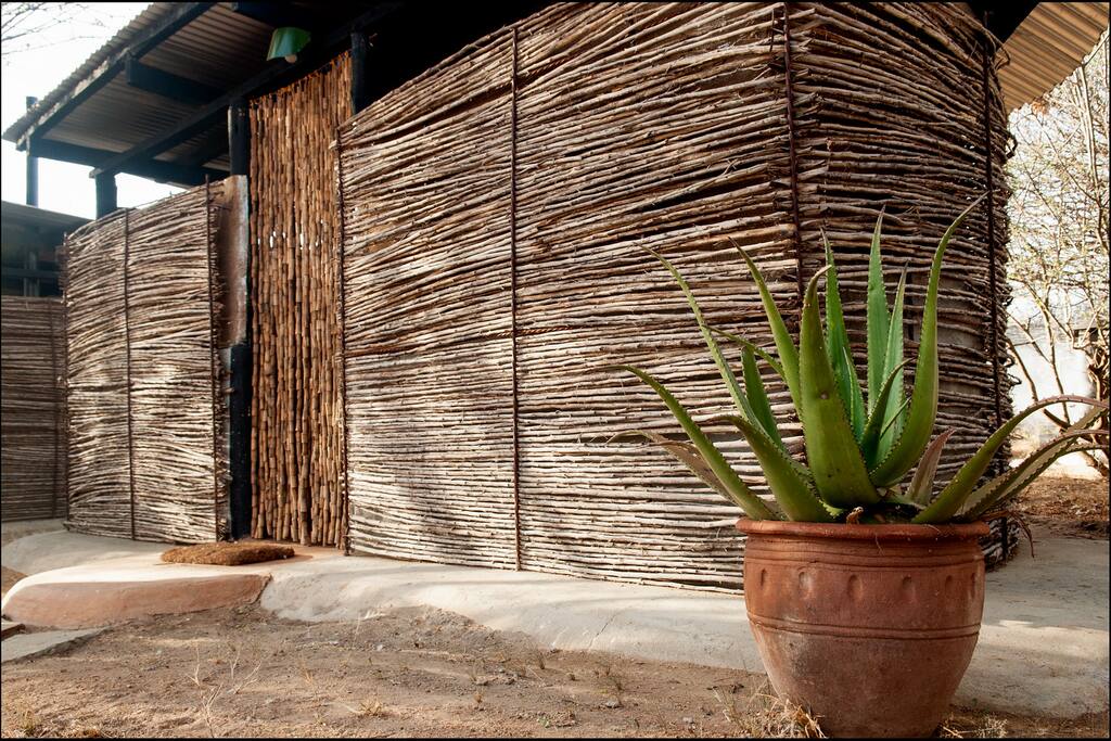 Bathroom Outside
