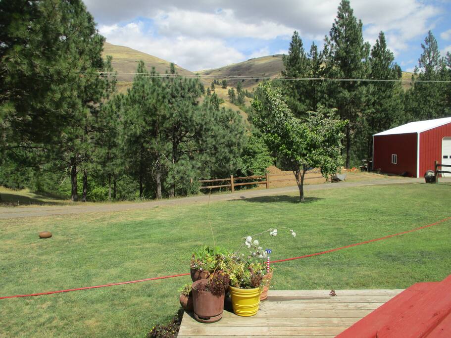 View from the front deck