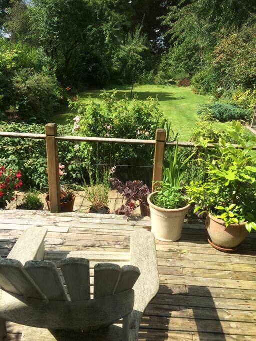 Decking and garden