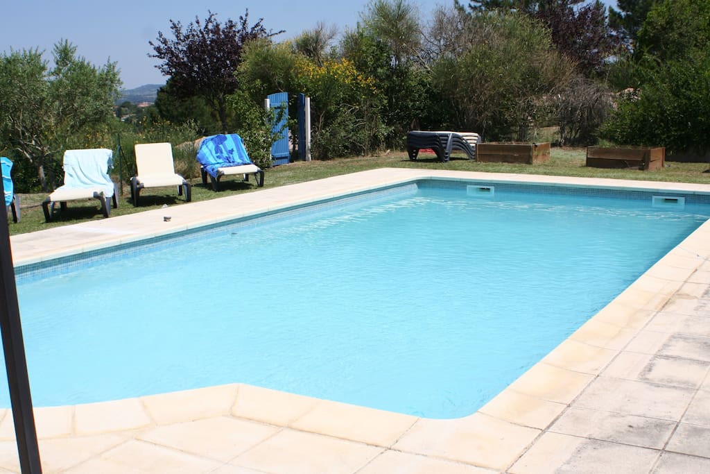 Generously sized pool