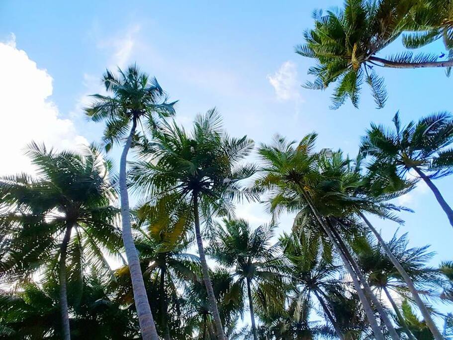 Thulusdhoo