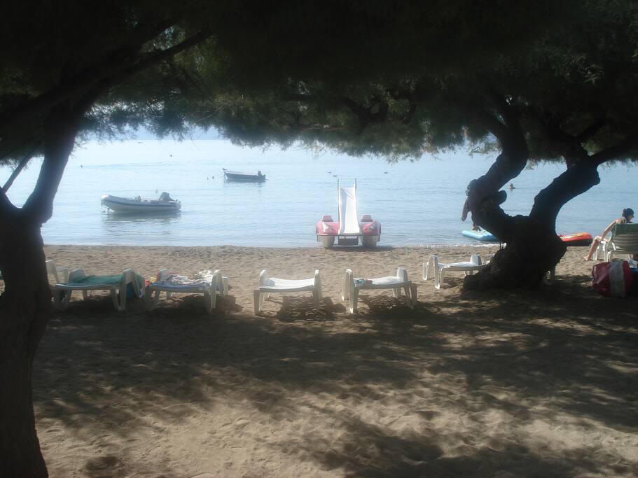 Beach in front of the apartment
