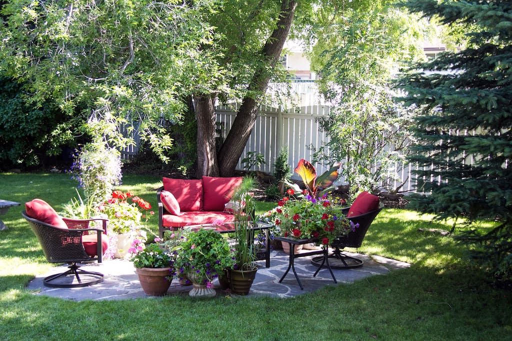 Large Backyard with Patio and BBQ