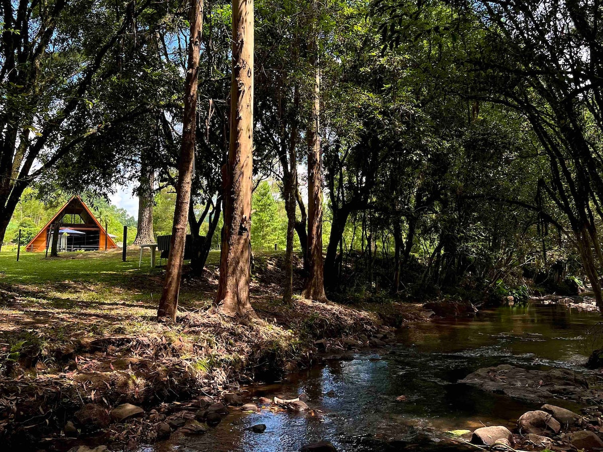 The image captures a serene outdoor view featuring a chalet framed by tall trees. A gently flowing creek is visible in the foreground, reflecting the natural surroundings. Sunlight filters through the leaves, illuminating the grassy area near the chalet.