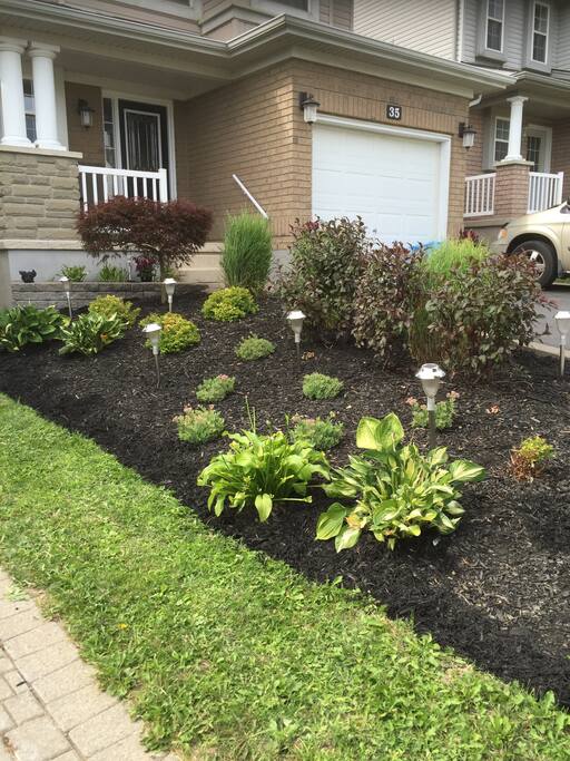 Room For Rent Guelph On Room For Rent Guelph On