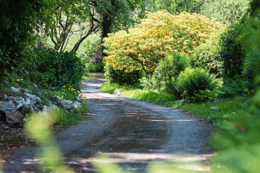 Driveway view nearer the house