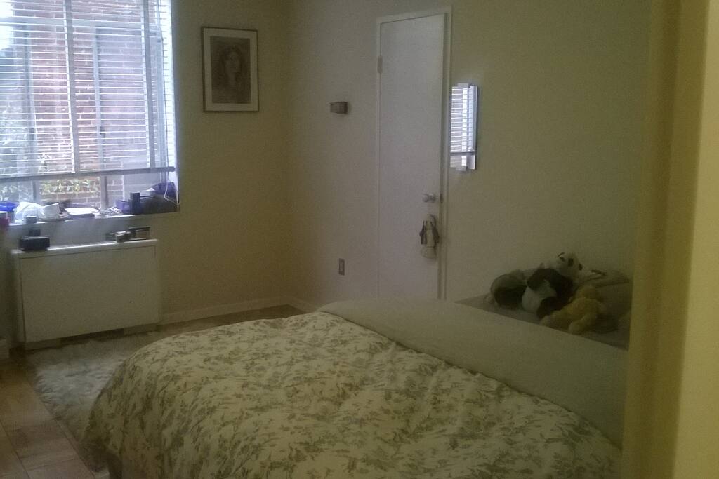 A queen size bed in a big spaciouse bedroom