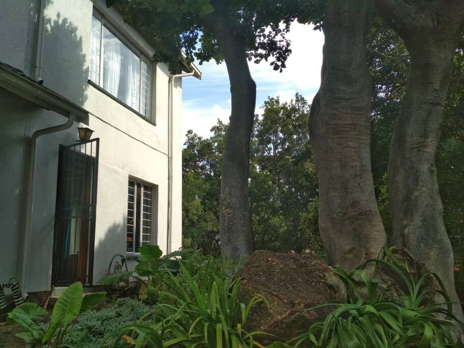 The front door amid the lush garden.