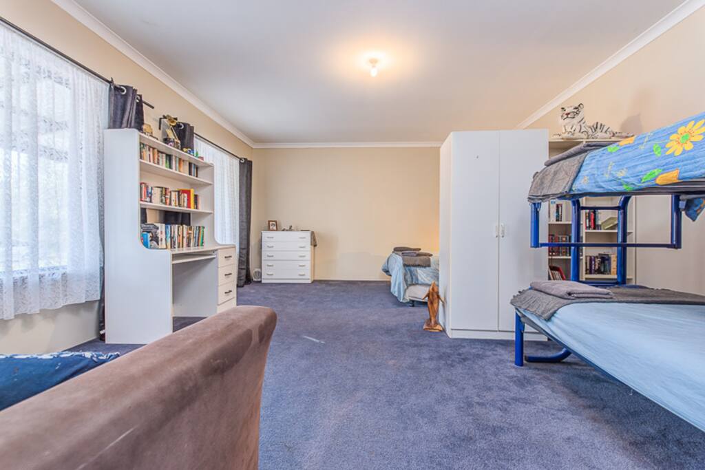 Dolphin Family Room