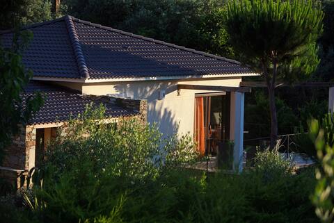 Villa l'Albitru, Sisco