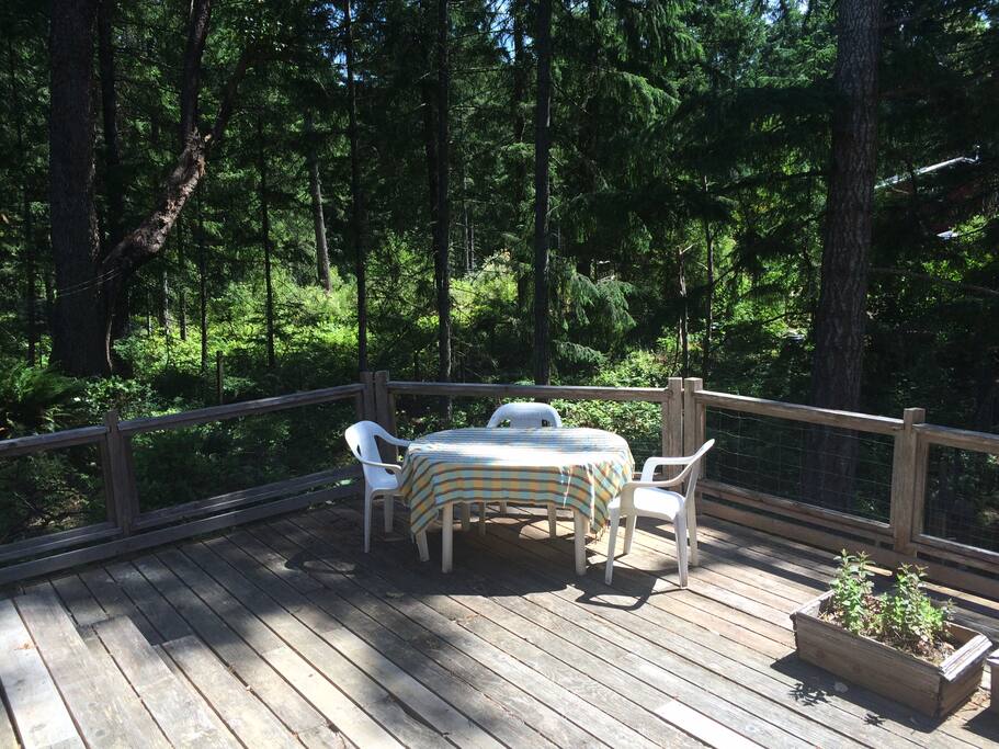 Dining on deck