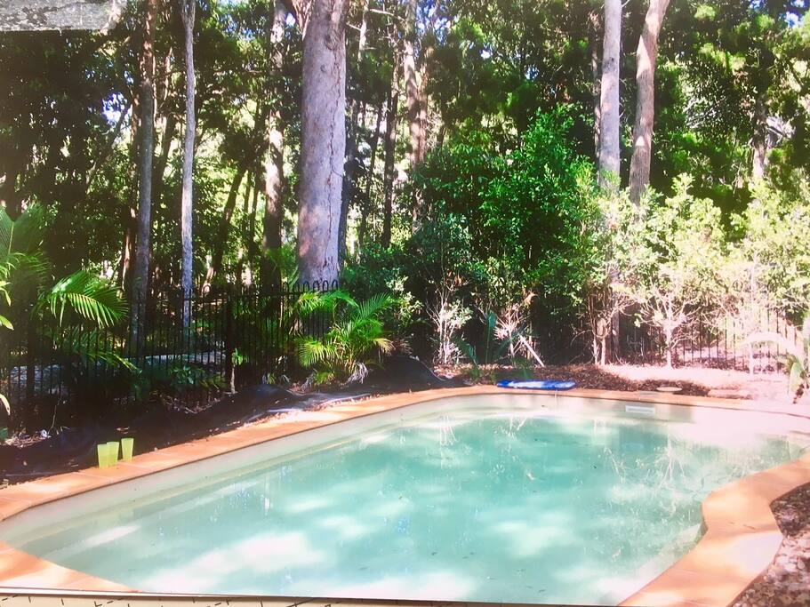 Pool backing onto the natural bush