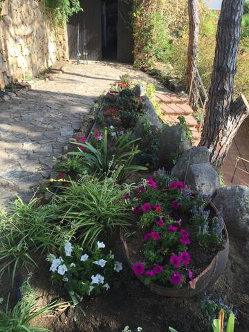 Villa Migjorn Cala Canyelles gallery image 4