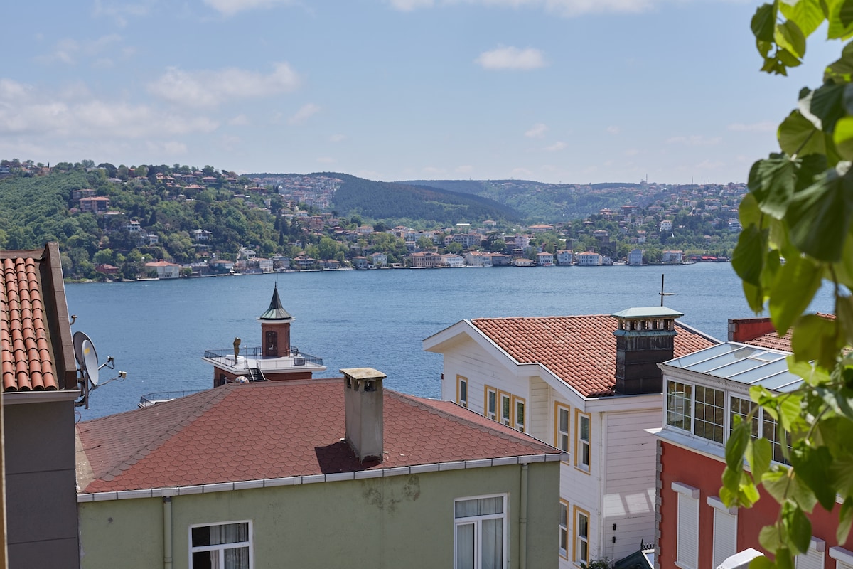 A panoramic view showcases calm waters and verdant hills, framed by charming rooftops. Various architectural styles are visible, indicating a blend of residential homes. The scene is complemented by a clear sky, with soft clouds enhancing the tranquil atmosphere.