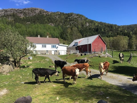Popular Airbnb listing: One room apartment with bathroom in Tysvær