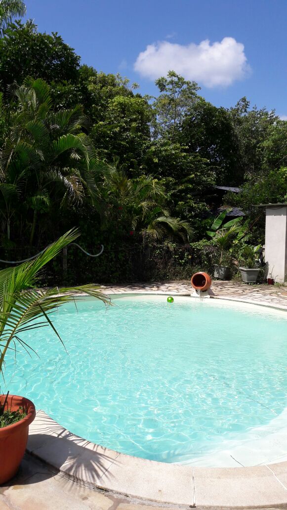 A refreshing swimming pool is surrounded by lush greenery, with palm plants positioned in terracotta pots. Sunlight reflects off the clear water, creating a serene atmosphere, while a small inflatable ball drifts on the surface.