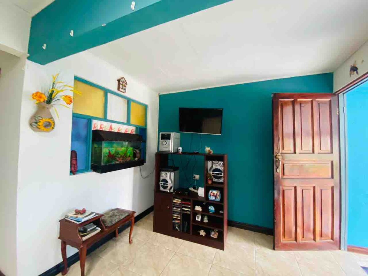 A living area is featured with vibrant teal walls and a tiled floor. A wooden door opens to the exterior, while a mounted television and aquarium enhance the space. Shelving with decorative items and books provides additional character and interest.