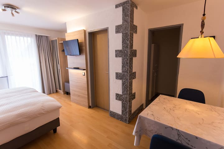 Downtown Cozy North View Studio - Switzerland