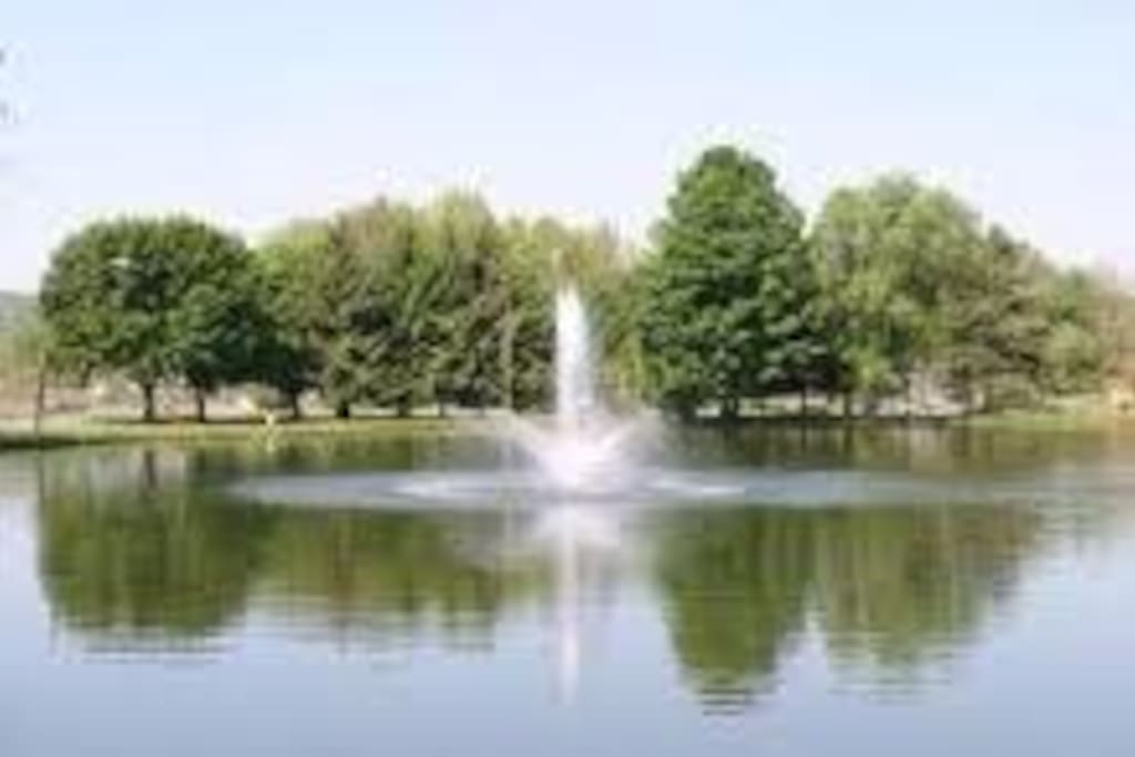 Neahwa Park pond