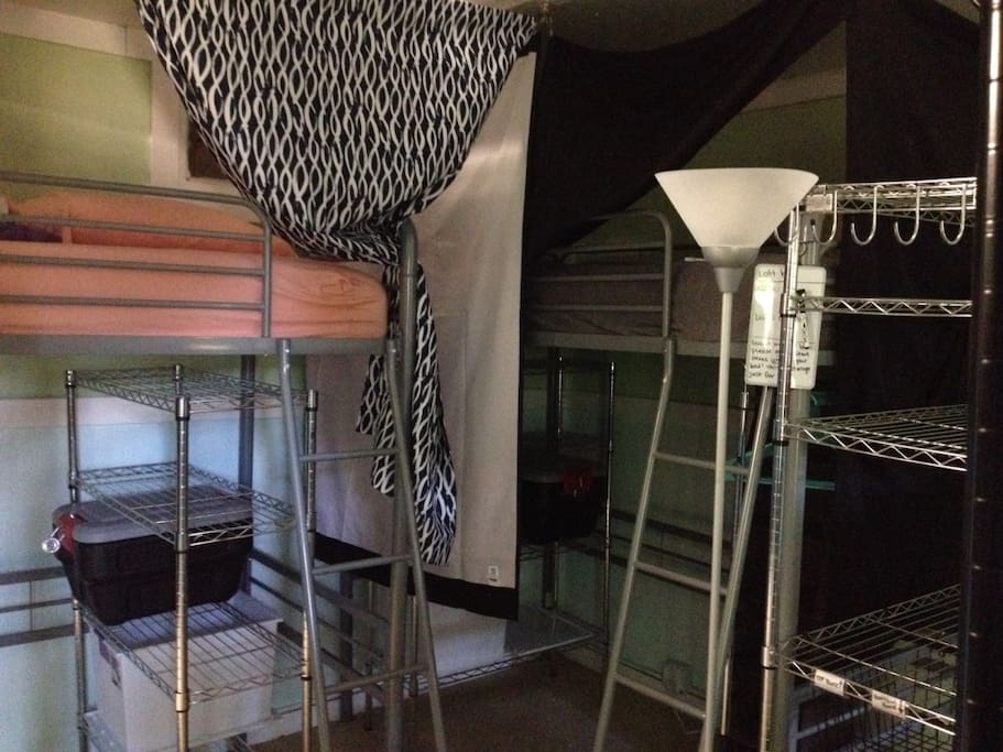 View of two loft beds available in room