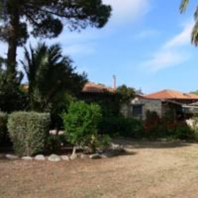 Area in comune