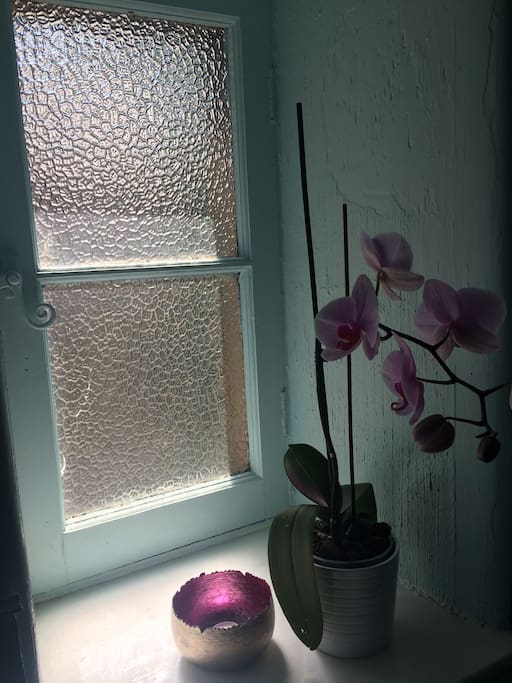 Bathroom window