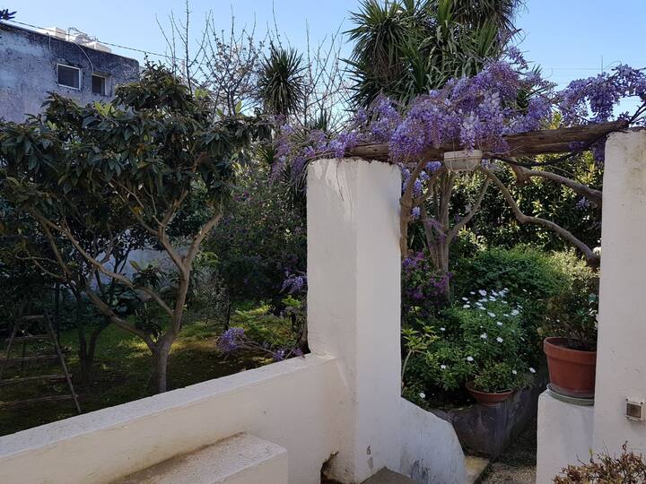 Delightful little garden house