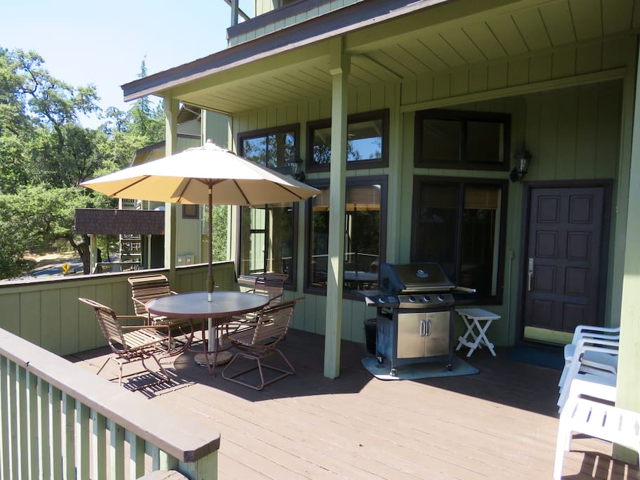 Main patio area including barbecue