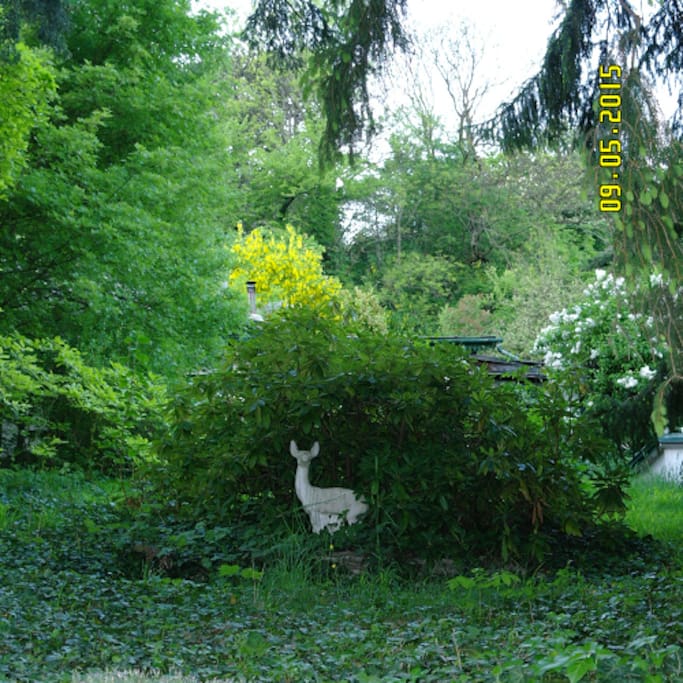 Lustwandeln im Garten von Biotop zu Biotop