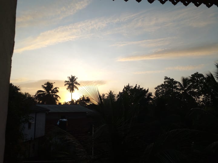 Picha ya Peacock Holiday Mirissa 1