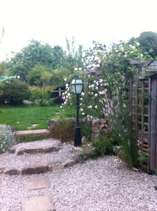 Our garden