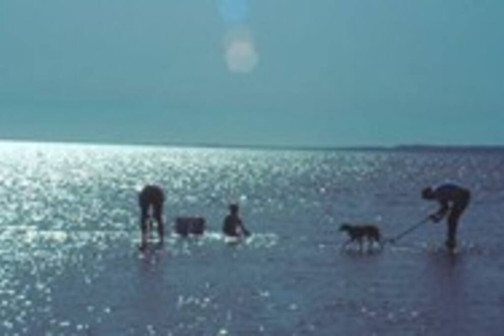 Campers enjoying the bay