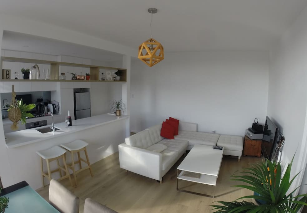 Newly renovated living room and kitchen