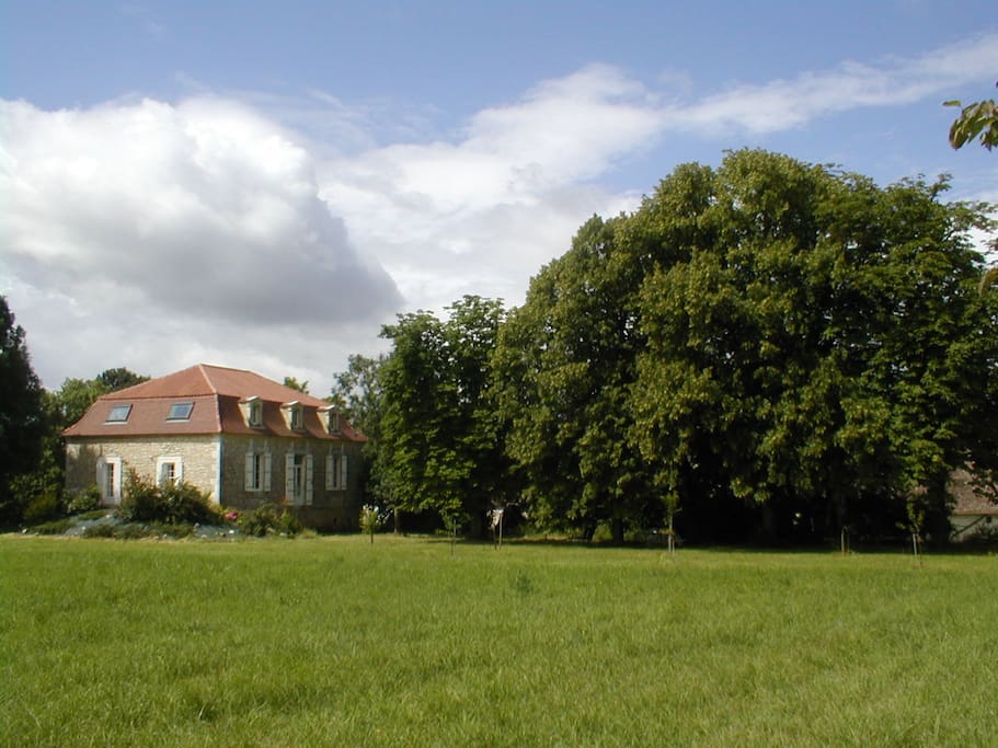 Tilleuls centenaires