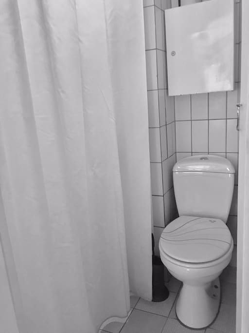 Bathroom. Toilet and shower.