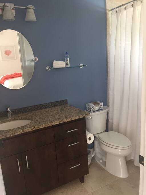 Private bath with shower and vanity