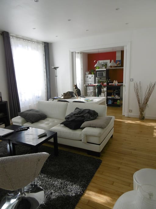 Salon ouvert sur la cuisine
