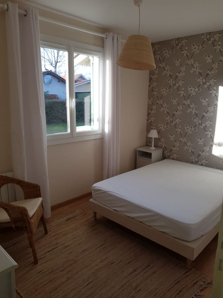 Habitación 1