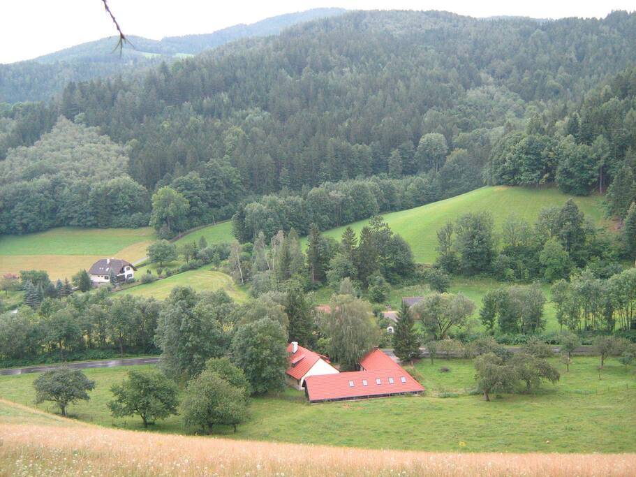 Der Hof von oben, mit Obstgarten, Wiesen und Wald