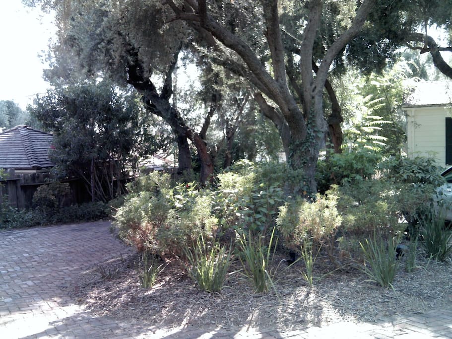 Center of Circular Driveway