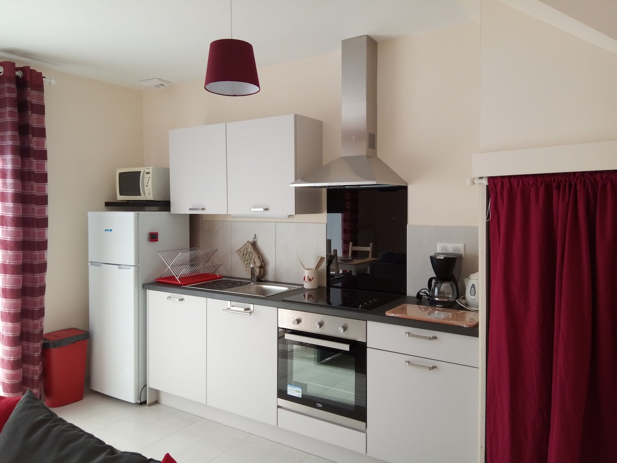 A modern kitchen area is presented, featuring a refrigerator, microwave, and stovetop with an extractor hood. Cabinetry in light grey is complemented by a red lampshade and curtains. A coffee maker and kettle are visible on the countertop, alongside a drying rack and various kitchen essentials.