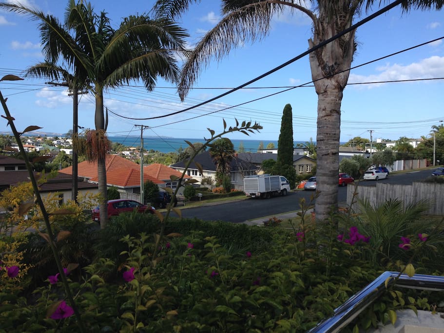 View from living room