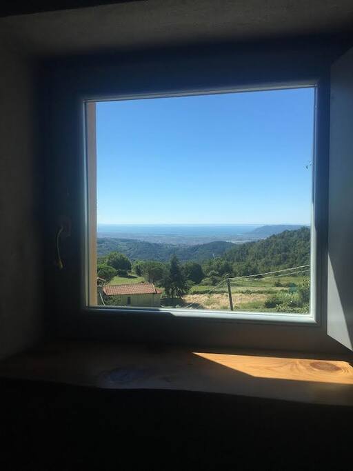 Bathroom window