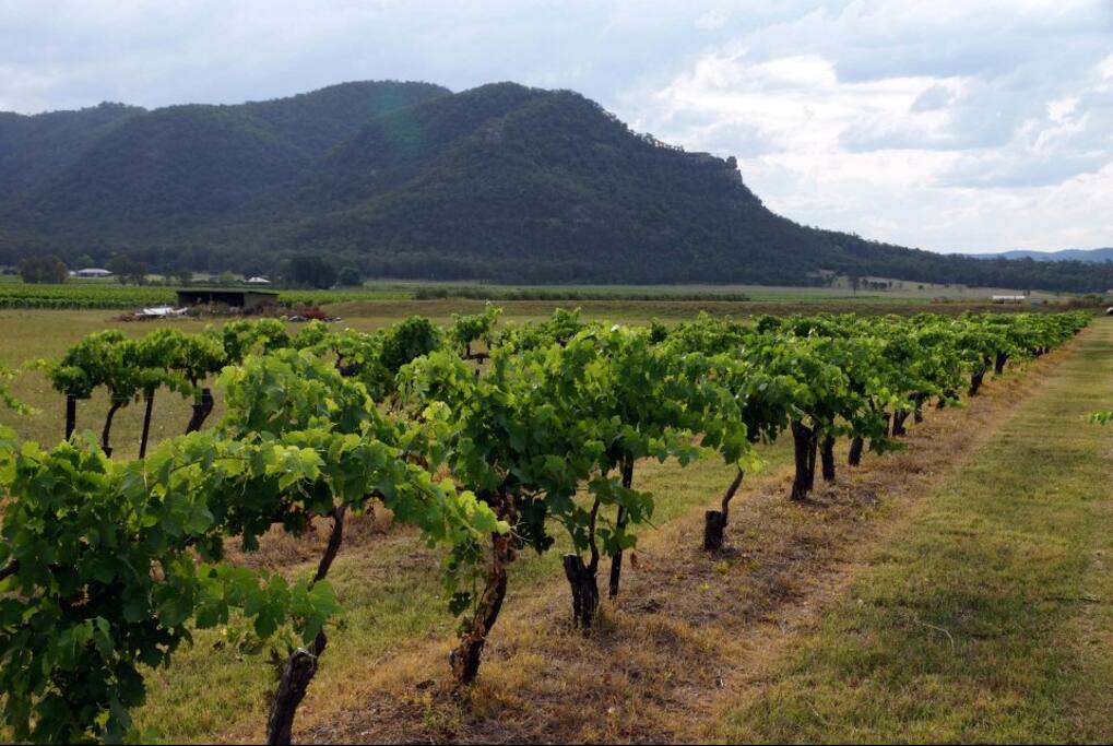 Set on a boutique vineyard