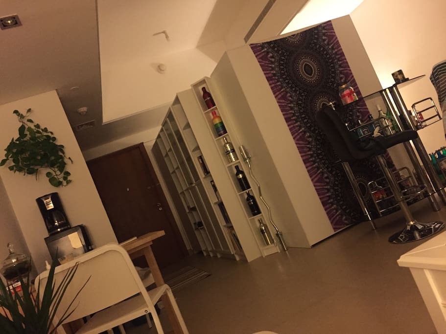 Bedroom space is separated behind the shelve units