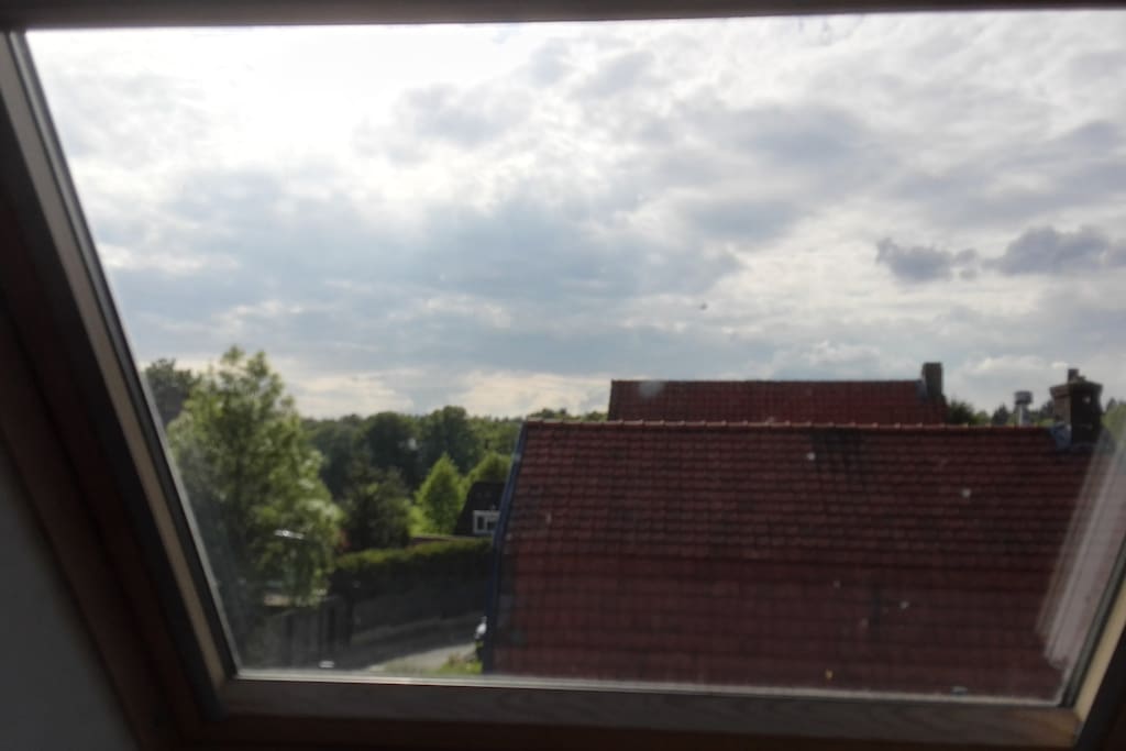 Uitzicht op het bos vanuit de zolder