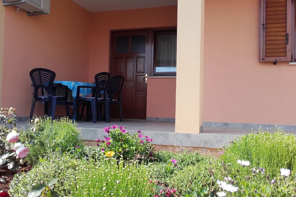 Garden + terrace